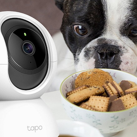 IP камера видеонаблюдения TP-Link Tapo C200 360° 1080p белая