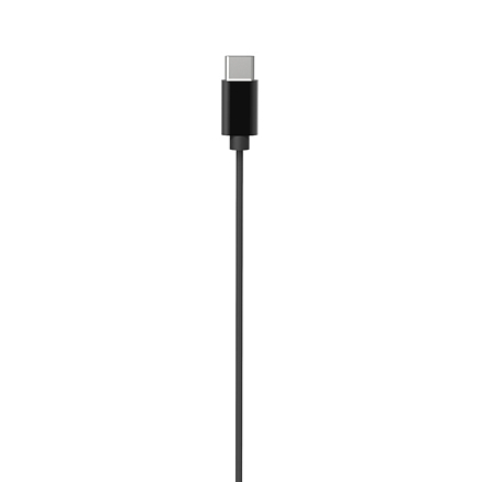 Микрофон петличный Ritmix RCM-210 в разъем Type-C черный