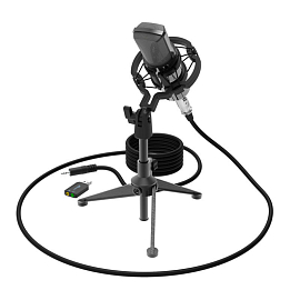 Микрофон для стрима Ritmix RDM-160 черный