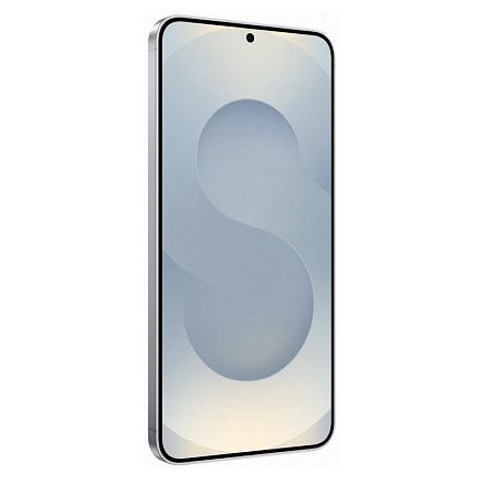 Смартфон Samsung Galaxy S25 SM-S931B 12GB/256GB (серый)