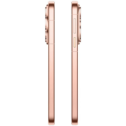 Телефон Huawei Pura 80 HED-LX9 12GB/256GB (золотистый)