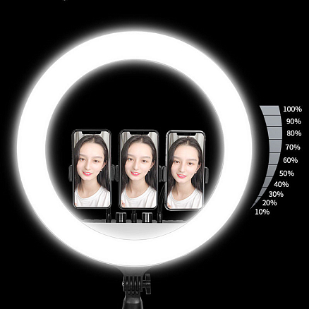 Кольцевая лампа диаметром 54 см с пультом ДУ RL-21 (три крепления для телефонов) черная