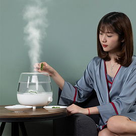 Увлажнитель воздуха Baseus Time 2.4 л белый