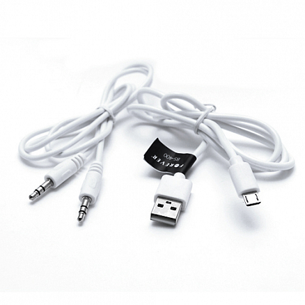 Портативная колонка Forever BS-400 с USB и поддержкой microSD карт черная