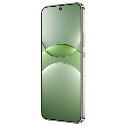 Смартфон Huawei Nova 13 12Gb/256Gb дымчатый зеленый