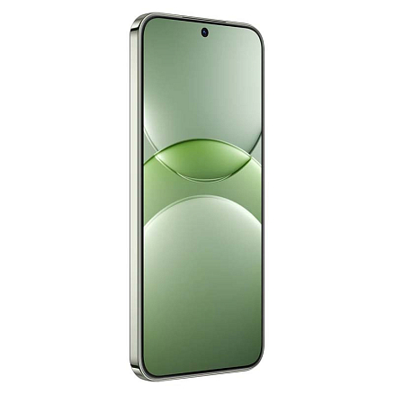 Смартфон Huawei nova 13 BLK-LX9 12GB/256GB (дымчатый зеленый)