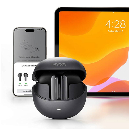 Наушники QCY AilyBuds Pro (серый)