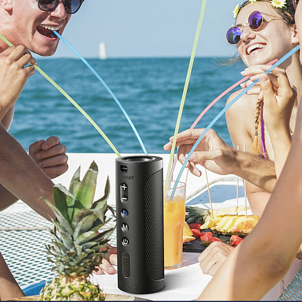 Портативная колонка Tronsmart T6 Pro с защитой от воды, подсветкой и аккумулятором 10400 мАч черная