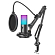 Микрофон для стрима с поп-фильтром Fifine T669 Pro 3 черный