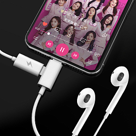 Наушники WiWU Earbuds EB01 в разъём Lightning вкладыши с пультом и разъемом для зарядки белые