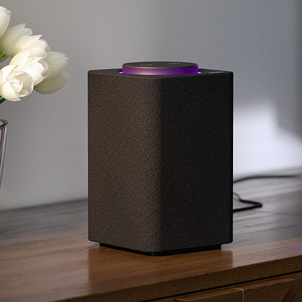 Умная колонка Яндекс Станция с Алисой YNDX-0001 черная