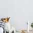 Портативный пылесос Xiaomi Mi Vacuum Cleaner Mini (SSXCQO1XY) белый
