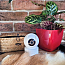IP камера видеонаблюдения Xiaomi IMILab Home Security C21 (CMSXJ38A) 360° 1440p белая