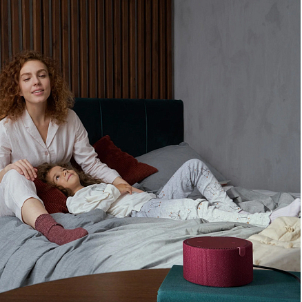 Умная колонка Яндекс Станция Мини 2 с Алисой YNDX-00021R бордовая