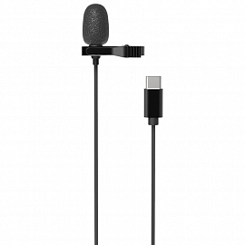 Микрофон петличный Ritmix RCM-210 в разъем Type-C черный